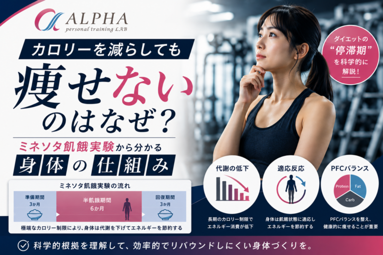 カロリーを減らしても痩せないのはなぜ？ミネソタ飢餓実験から分かる身体の仕組み