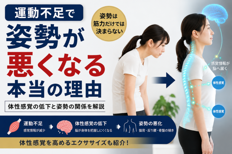 姿勢が悪くなる根本原因は？腹筋・背筋やストレッチをしても姿勢が改善しない本当の理由