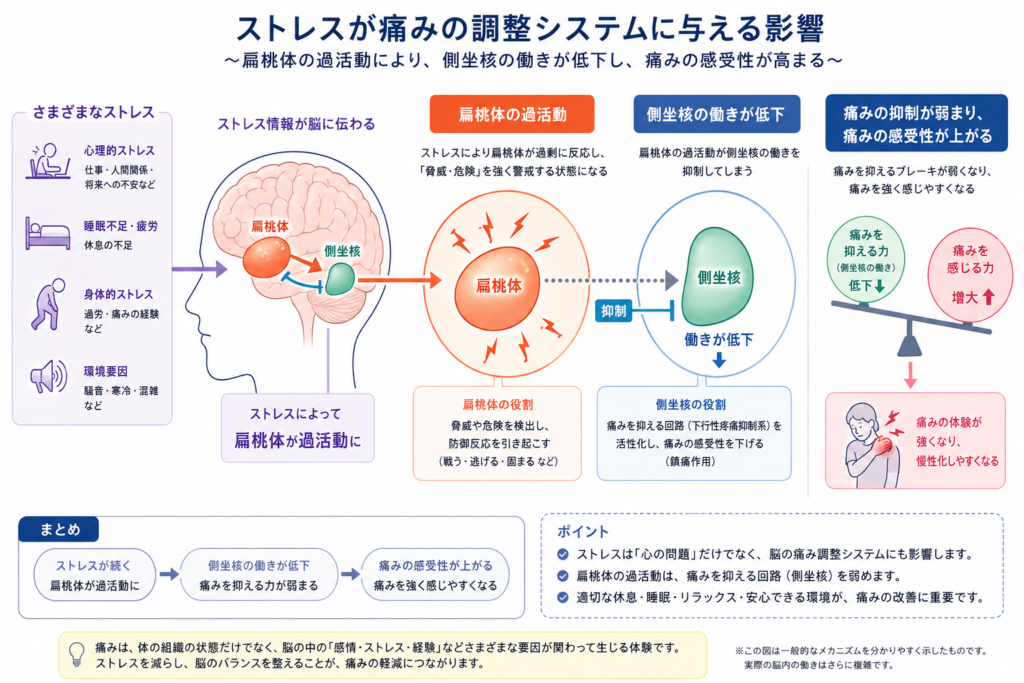 ストレスが痛みの調整システムに与える影響を示した図
