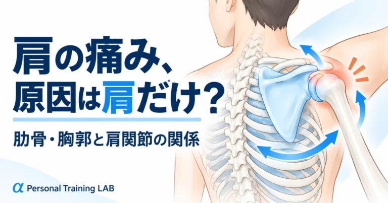 肩の痛みと肋骨・胸郭・肩関節の関係を示したアイキャッチ画像